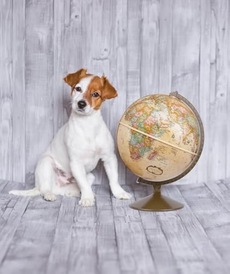 12‑Inch Antique Raised Relief World Globe